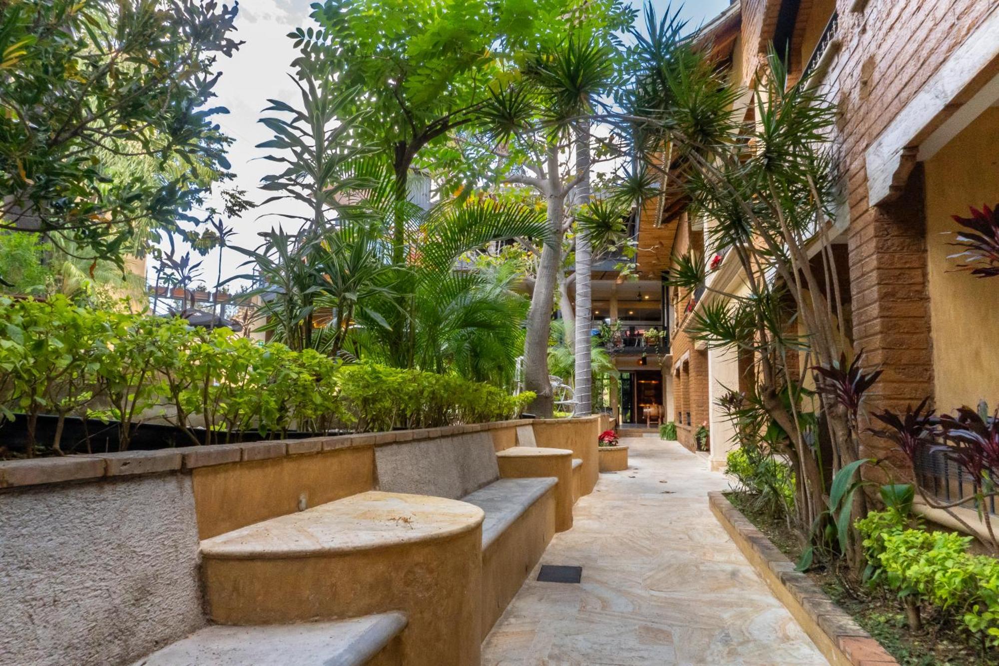Casa De Adobe Gallery & Luxury Boutique Oaxaca Экстерьер фото